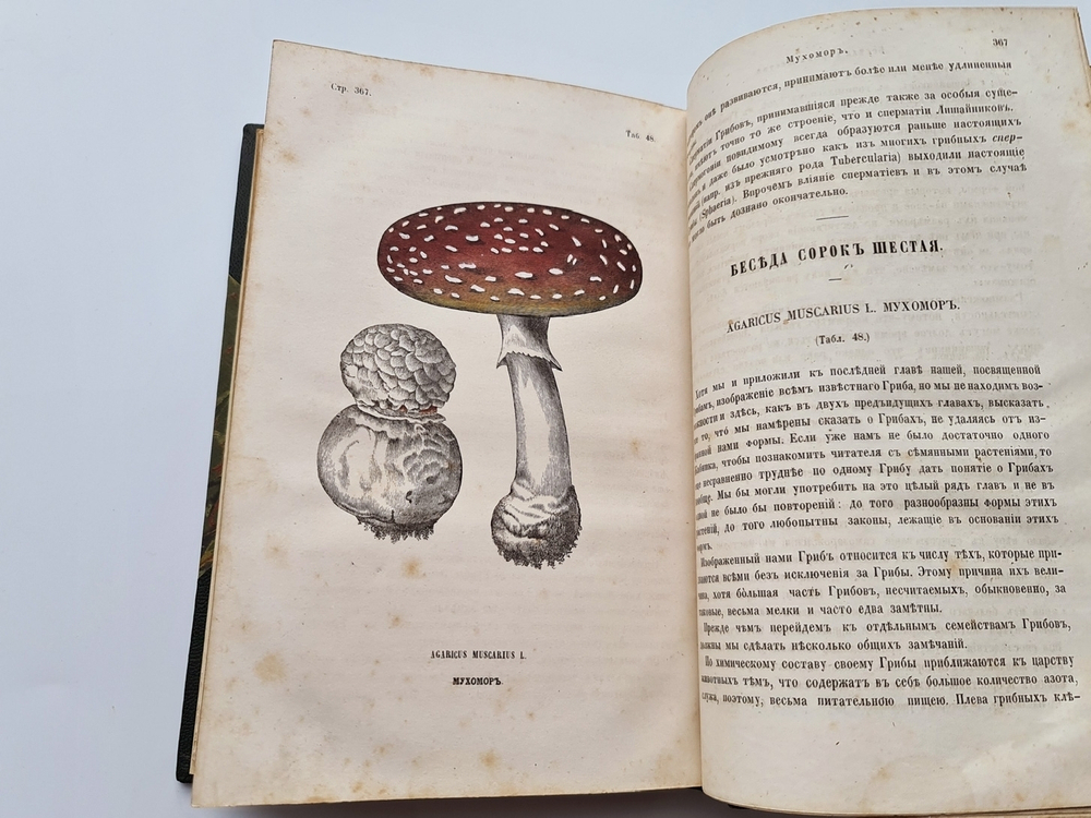 "Ботанические беседы". Б.Ауэрсвальд, Э.А.Россмесслер. 1860 г. - редкая книга