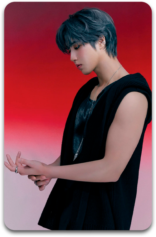 Карта / STRAY KIDS #2909