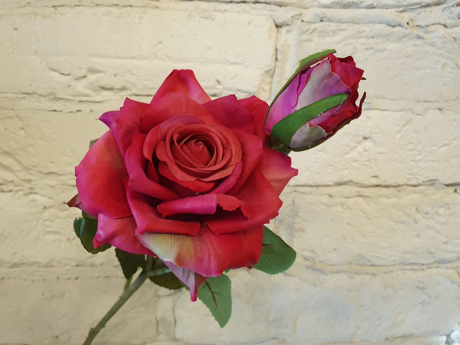 роза, 44см , цвет фуксия