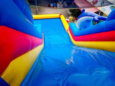 Надувная водная горка с бассейном «Дельфины» 15*6*8 м