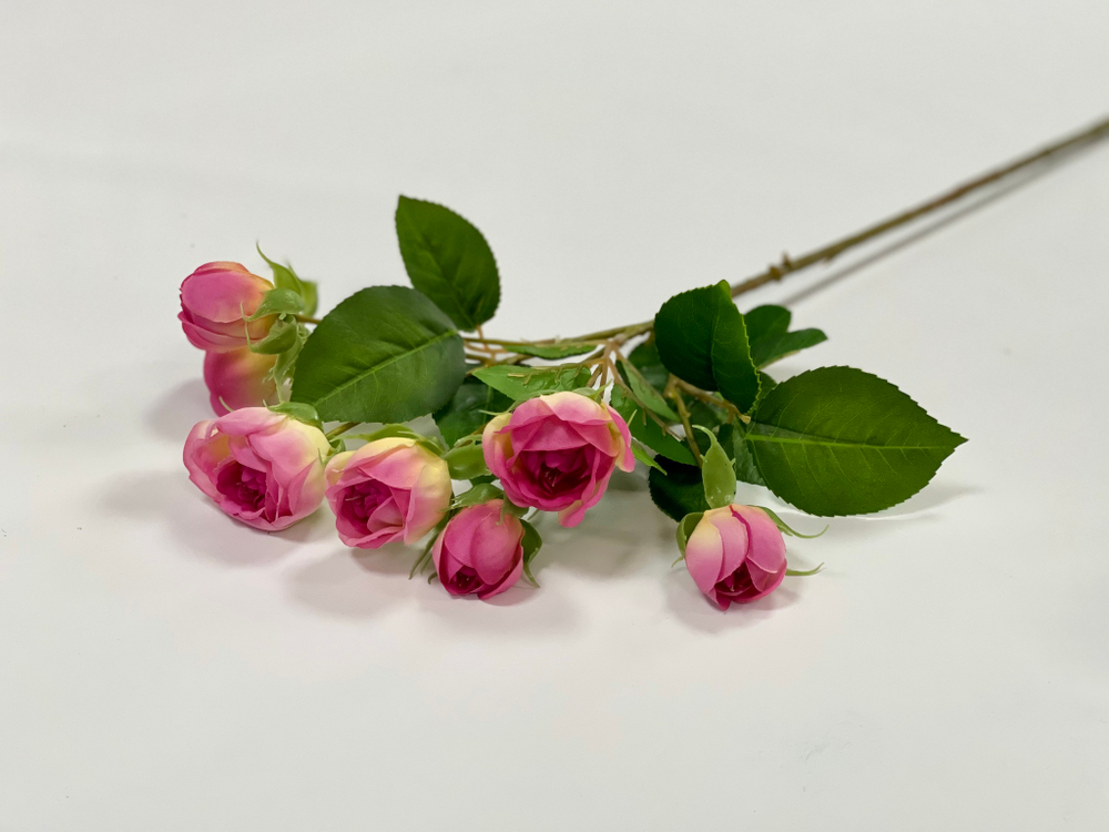 Роза спрей розовая 55 см