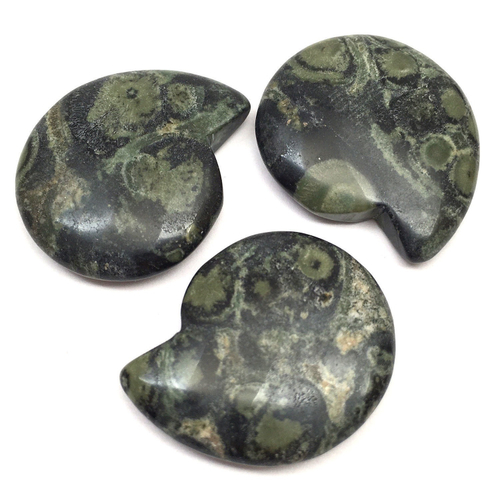 Яшма Камбаба в форме аммонита 25 мм