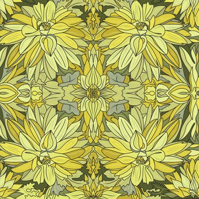 Желтые Хризантемы