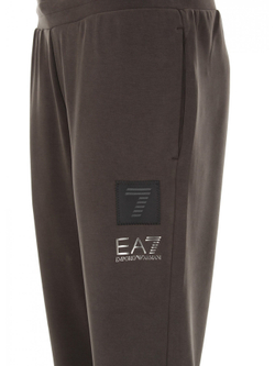 Брюки мужские Trouser EA7