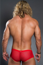 Трусы-боксеры мужские Doreanse Net – полупрозрачные, черные