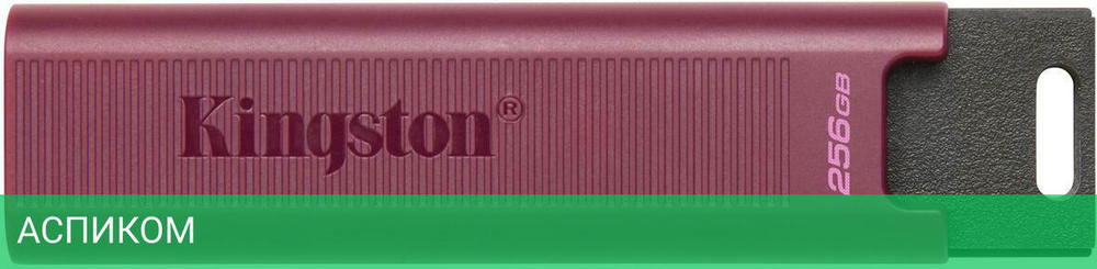 USB Flash-накопитель Kingston DataTraveler Max 256GB (DTMAXA/256GB)
