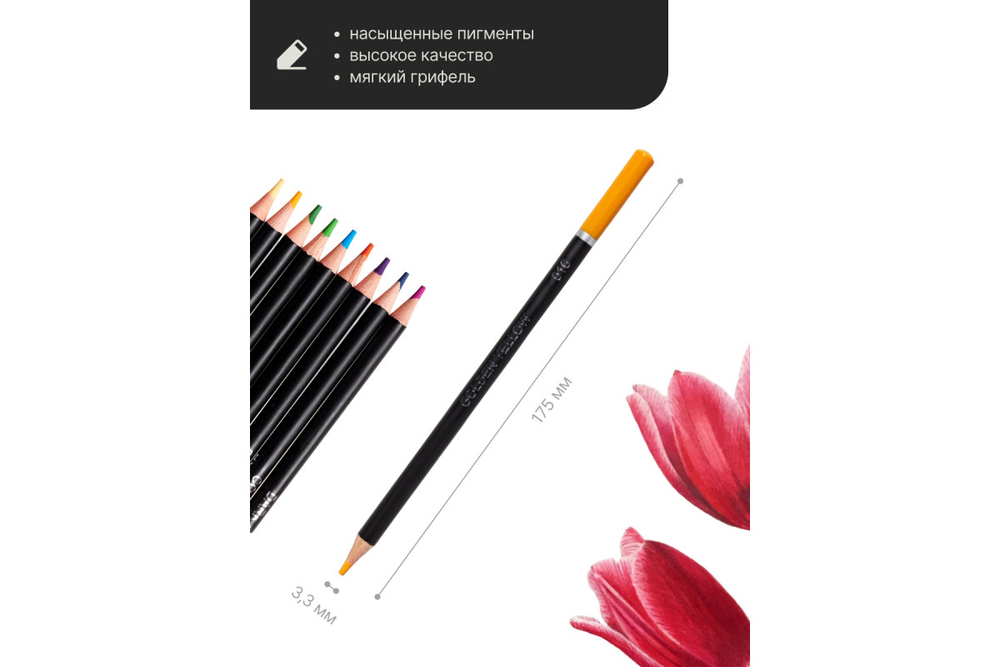 Набор цветных карандашей Pictoria Botanica, 24шт, в металлической коробке