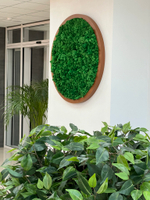 Озеленение искусственными растениями офиса строительной компании "ССК" г.Краснодар