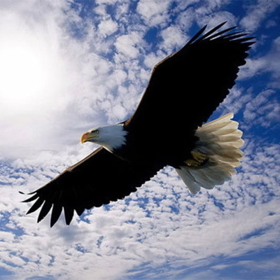 Вебинар-практикум "Дыхание Свободы"