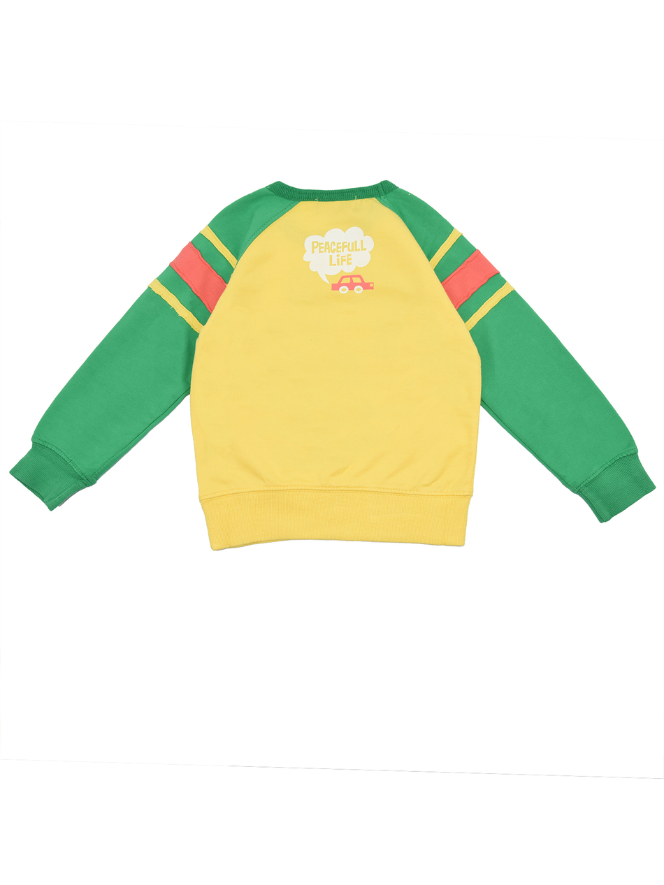 Толстовка для мальчика