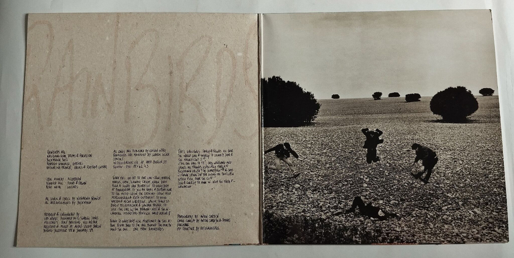 Винтажная виниловая пластинка LP Rainbirds Call Me Easy Say I am Strong Love Me My Way It Aint Wrong (Germany 1989)
