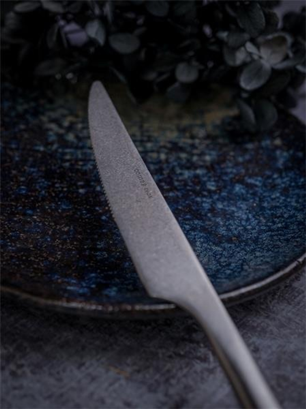 Нож десертный COMAS серии CANADA M 18% VINTAGE, артикул 1244