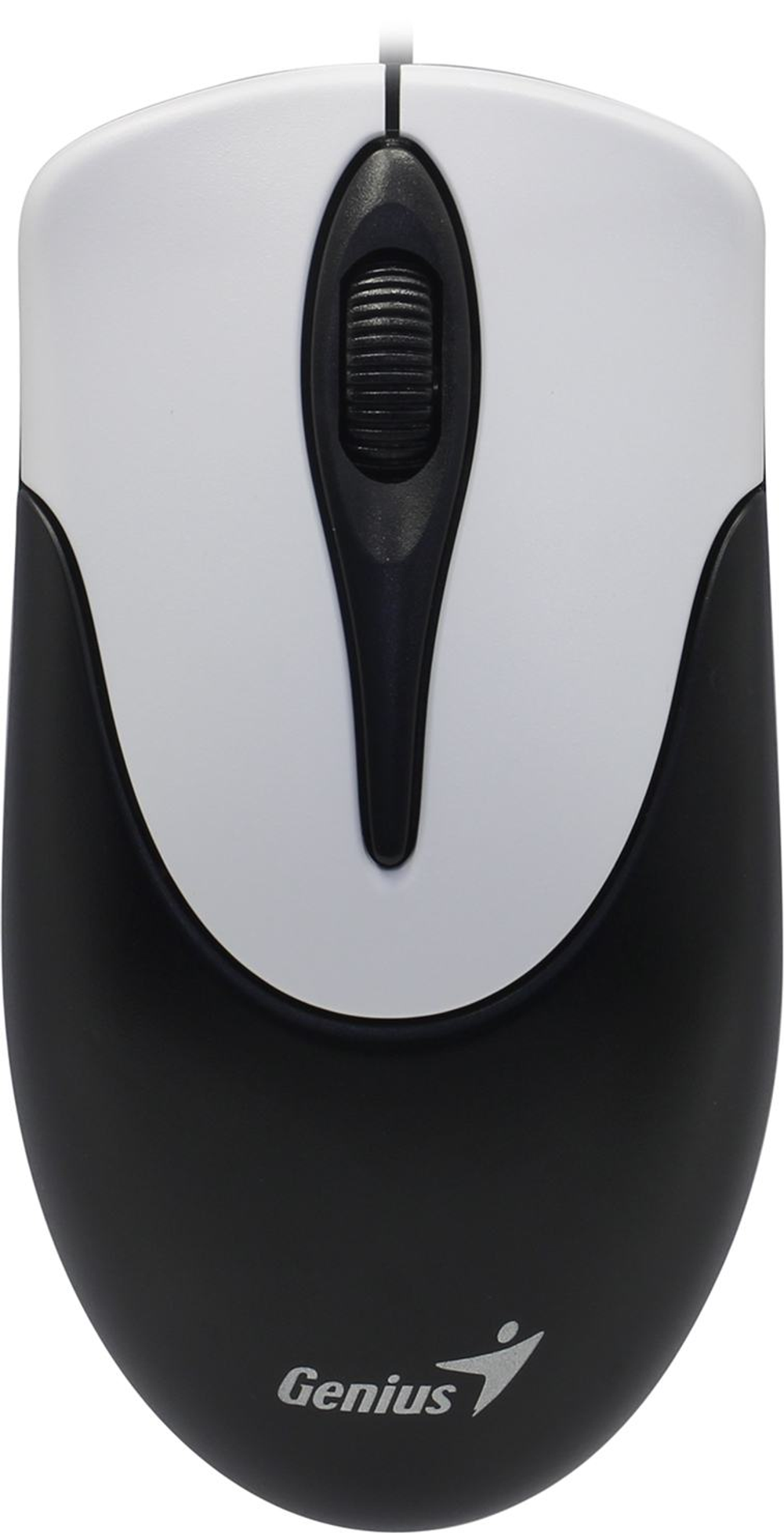 Genius NetScroll 100 V2 Optical Mouse &lt;Black&gt; (RTL) USB 3btn+  Roll  (31010001401)