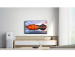 LED телевизор Xiaomi TV A 43 FHD 2025 Full HD