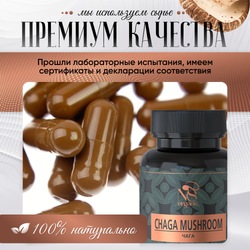 Гриб Чага Березовая, капсулы 120 шт по 500мг