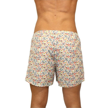 Мужские трусы-шорты бежевые с принтом Romeo Rossi Spring Meadow Shorts RR00314