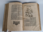 "Museum museorum, oder Vollstandige Schau-Buhne aller Materialien und Specereyen [...] aus andern Material-Kunst und Naturalien Kammern Oost und West-Indischen Reisbeschreibungen". D. Michael Bernhard Valentini. 1714 г.