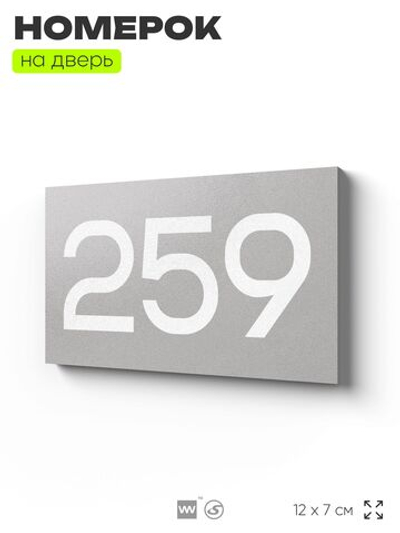 Номер на дверь 259, табличка на дверь для офиса, квартиры, кабинета, аудитории, склада, серая 120х70 мм, Айдентика Технолоджи