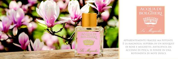 Dr. Taffi La Magnolia