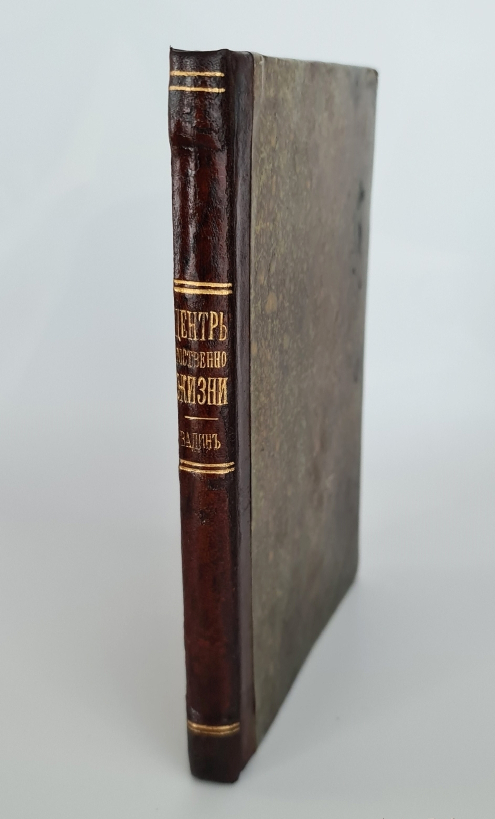 "Центры умственной жизни. Общественные и бытовые очерки. Очерк 1. Лондон"  А.Вадин,  1882 г.