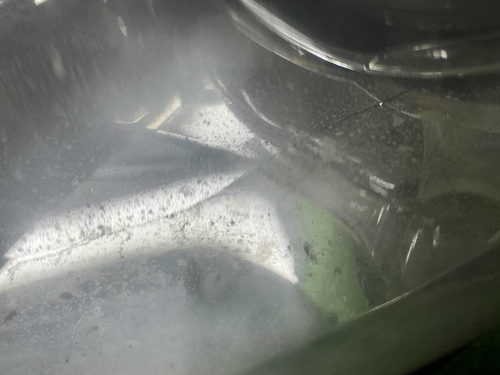 Фара левая Mitsubishi Pajero Sport 3 15-21 галоген