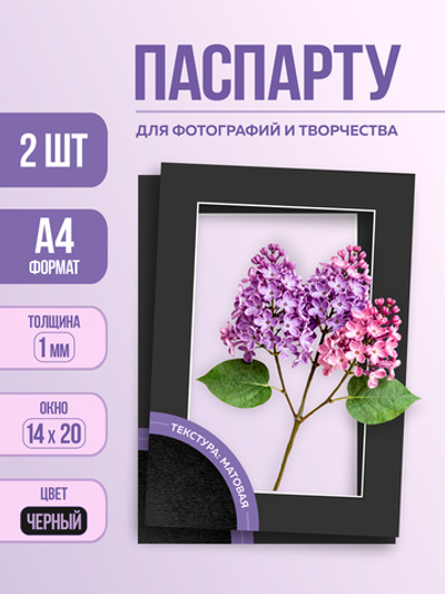 Паспарту 21х30 мм черный арт.109798_8053