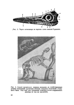 Вымершие животные | Р. Э. Ланкестер