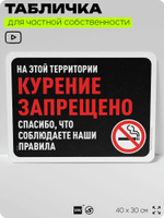 Табличка для частной территории "Курение запрещено", на дом, для участка, организаций и частных территорий, предупреждающая, 40х30 см, Silver Plane x Айдентика Технолоджи