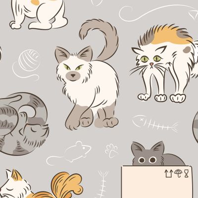 кошки. Толстый милый  Домашние питомцы. Кот спит, в коробке