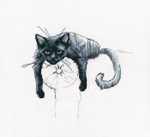 "Среди черных котов"-M666  вышивка