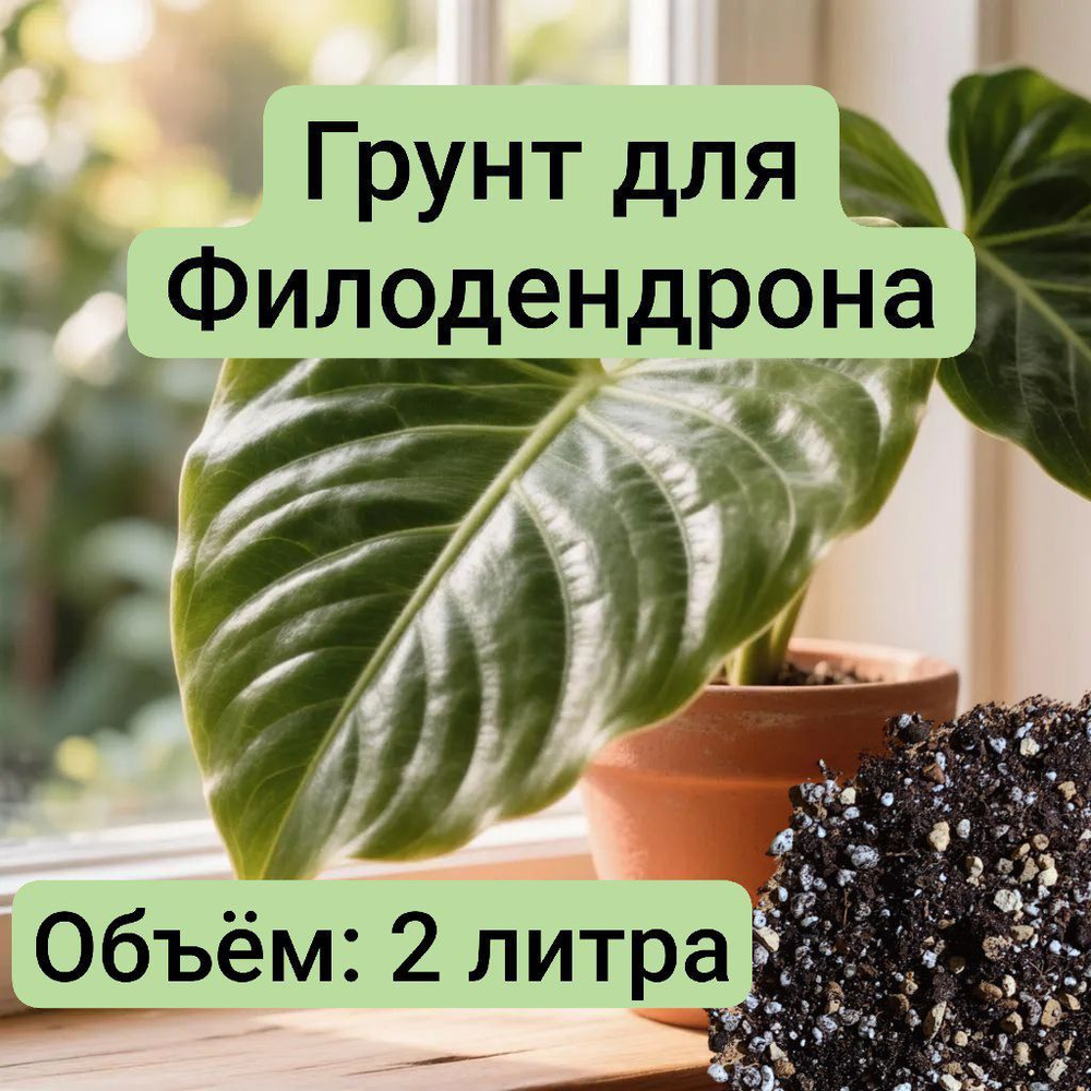 Авторский грунт для Филодендрона, объём 2 литра грунта 2литра