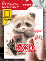 Метрика ножек "Енот"