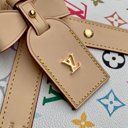 Louis Vuitton Dog Bag