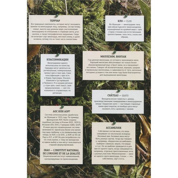 Вина Франции