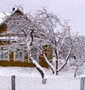 Что делать на даче в феврале?