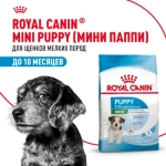 ROYAL CANIN Mini Puppy Корм сухой для щенков мелких пород в возрасте 2-10 месяцев, 800 г