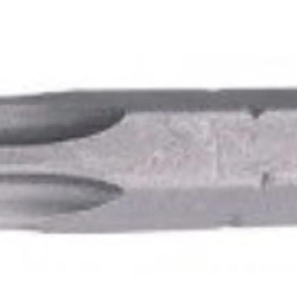 Бита 5-лучевая с отверстием TS10,1/4''(20шт/уп) Forsage F-12F2510