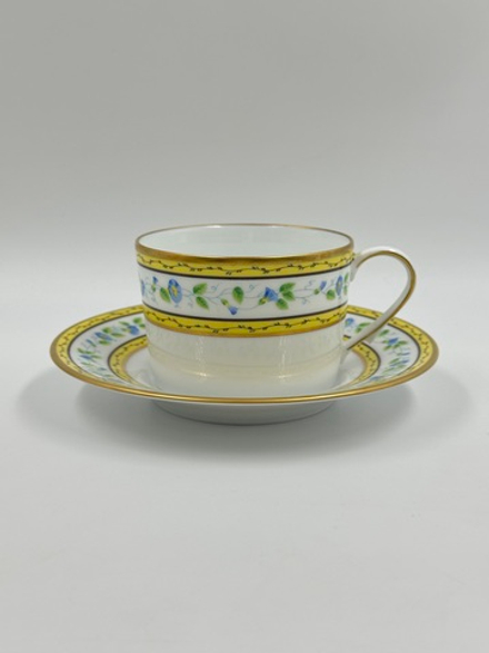 Чайная пара Raynaud Ceralene, Morning Glory Spray