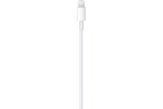 Кабель Apple USB Type С- Lightning 1m MX0K2ZM/A, белый