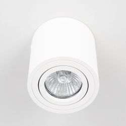 Citilux Дюрен CL538111 Светильник накладной поворотный Белый