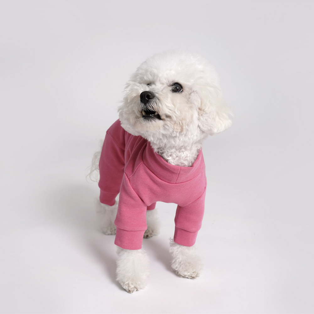002 Костюм с воротником "Angel Monsters Single High Neck Coverall" Puppy Angel