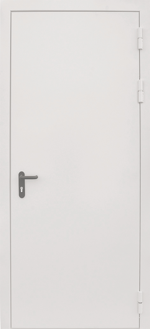 Дверь противопожарная Ei60 RAL 7035
