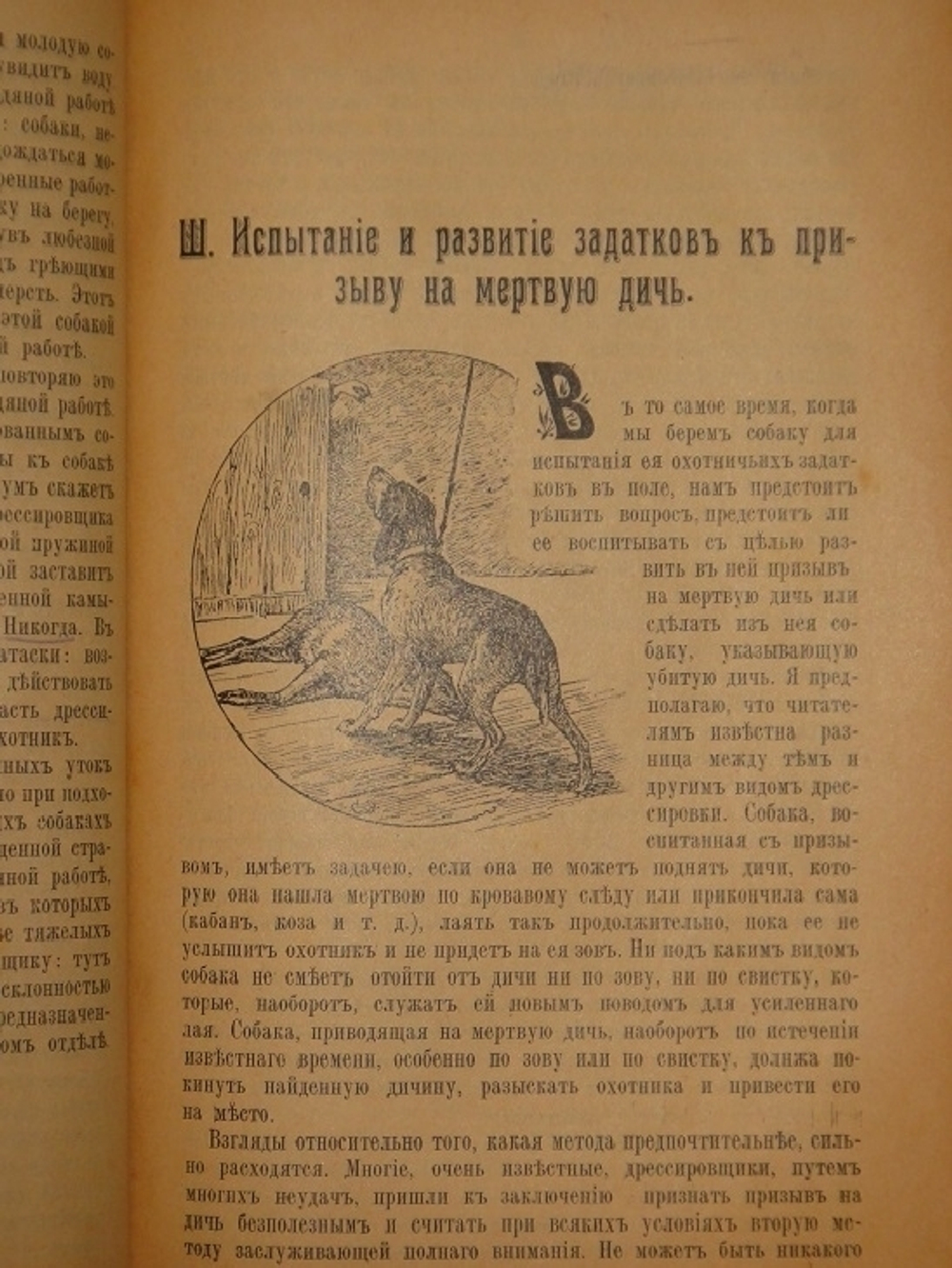 "Дрессировка и натаска подружейных собак". Г.Оберлендер. 1910г.
