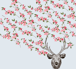 Коллекция Chinoiserie