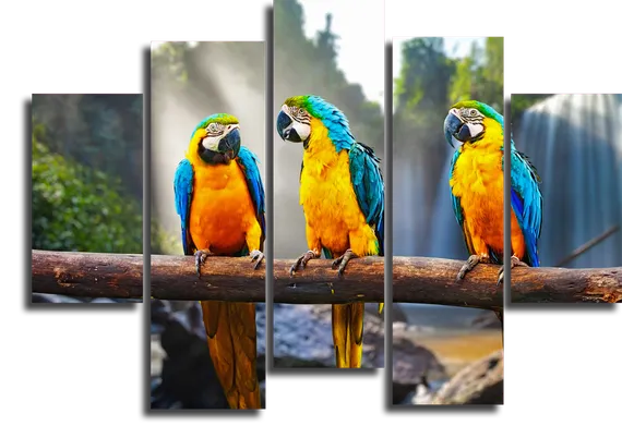 Модульная картина "Три попугая"