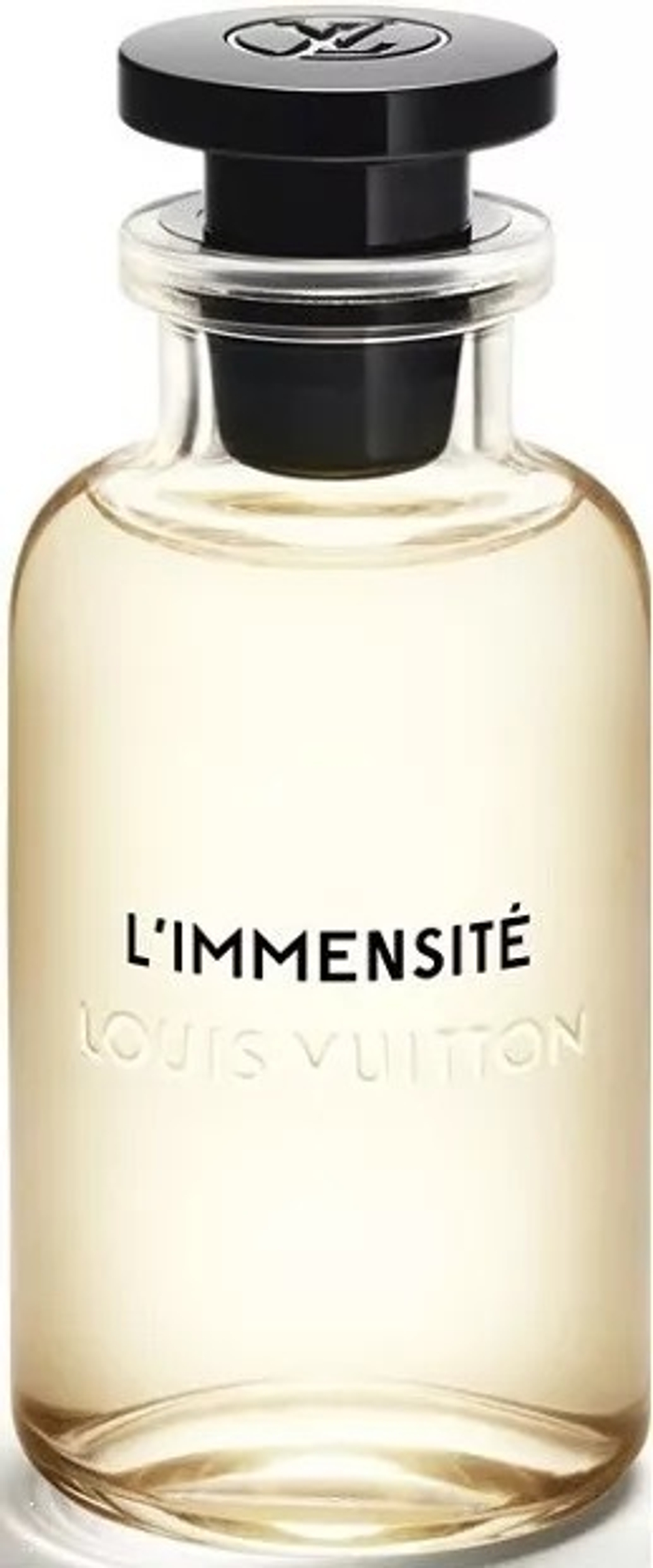 Louis Vuitton L'immensite