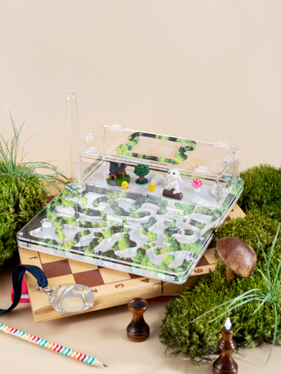 Формикарий МАКСИ "МОХ" с муравьями в подарок!