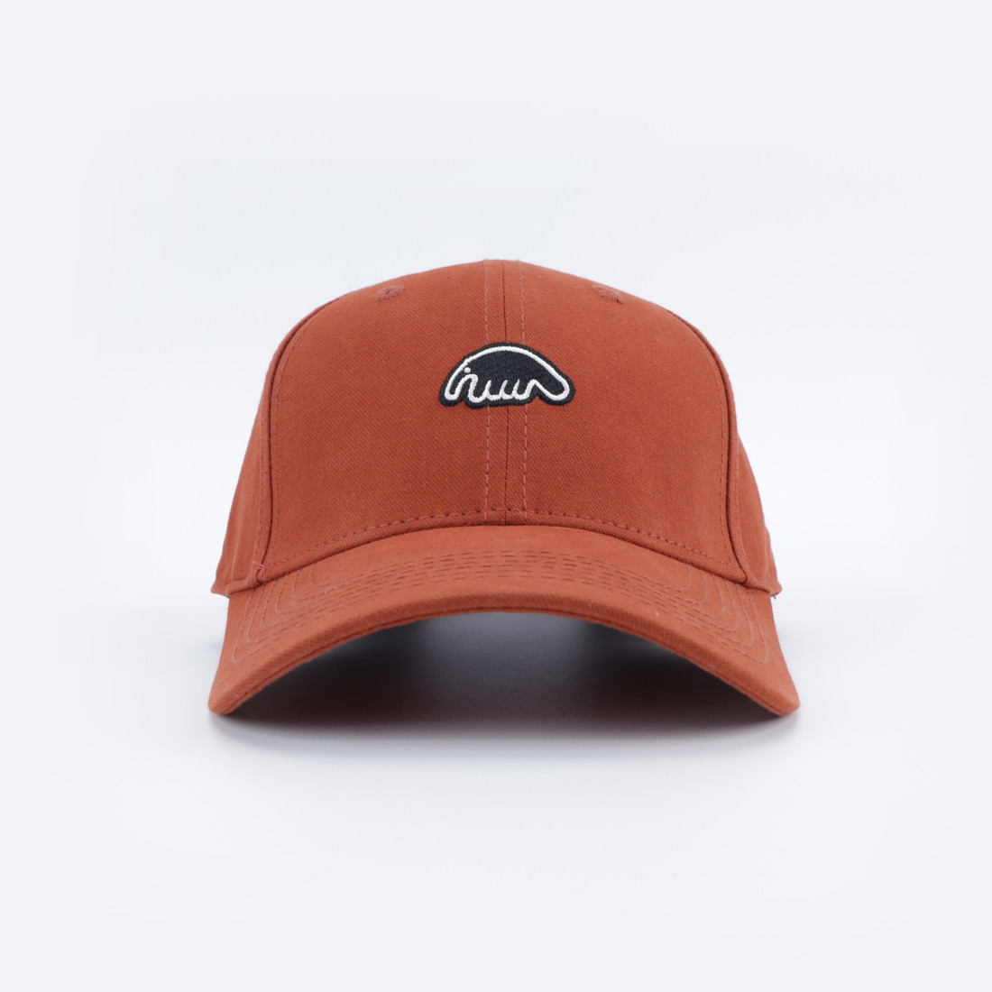 Кепка Anteater Baseball (terrakot)