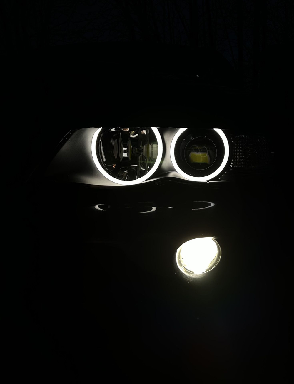 Ангельские глазки BMW X 5 E 53 ( Белые) Дорест