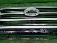 Решетка радиатора Toyota Land Cruiser 300 (21-нв)
